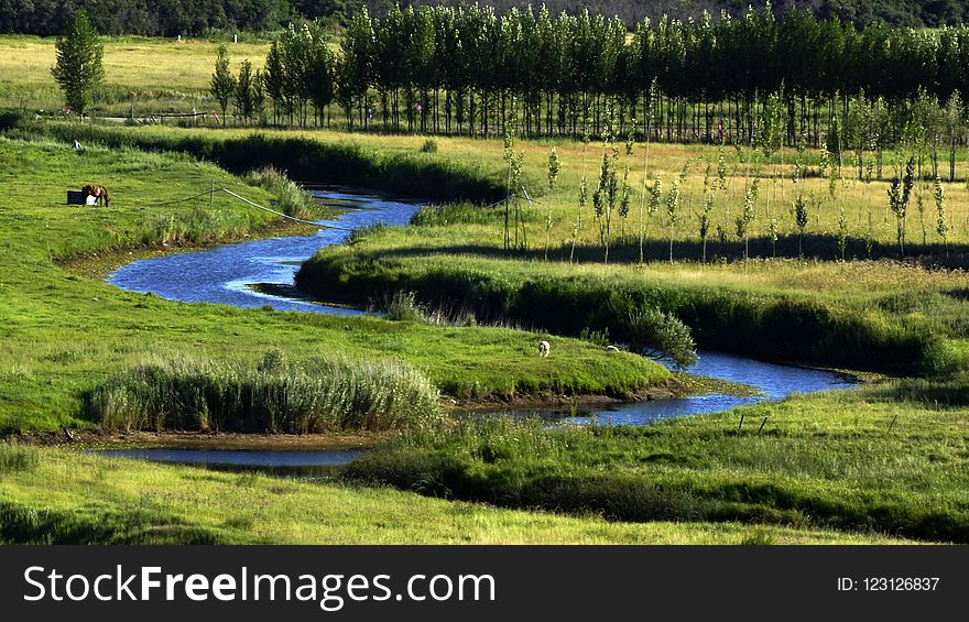 Nature Reserve, Wetland, Vegetation, Water Resources