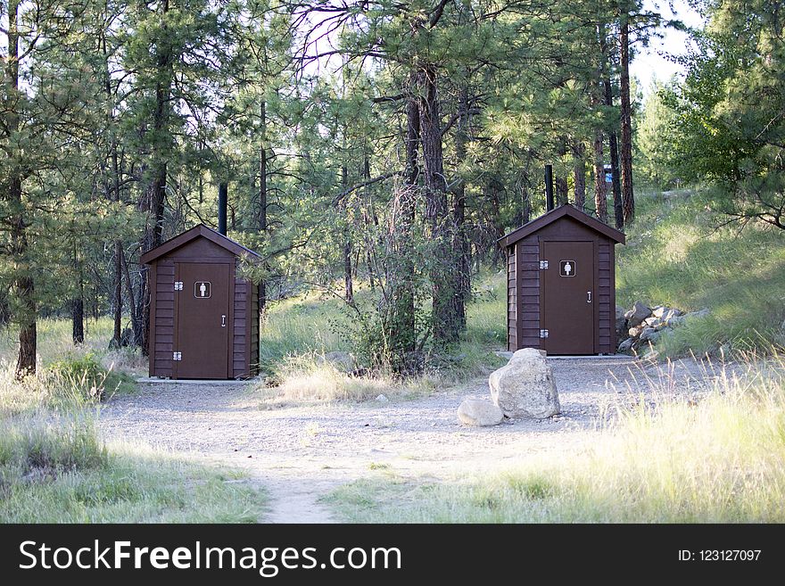 Property, Tree, Cottage, Outhouse