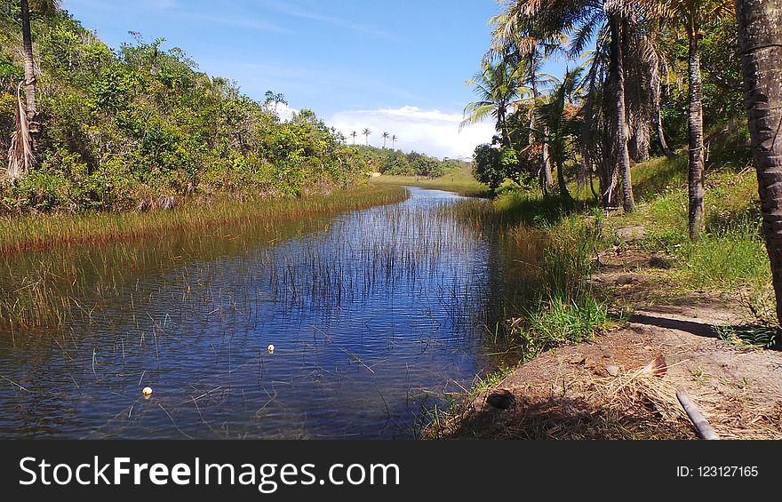 Waterway, Water, Nature Reserve, Riparian Zone