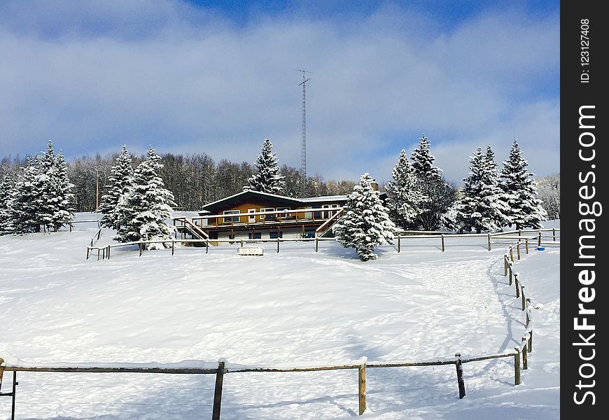 Snow, Winter, Sky, Tree