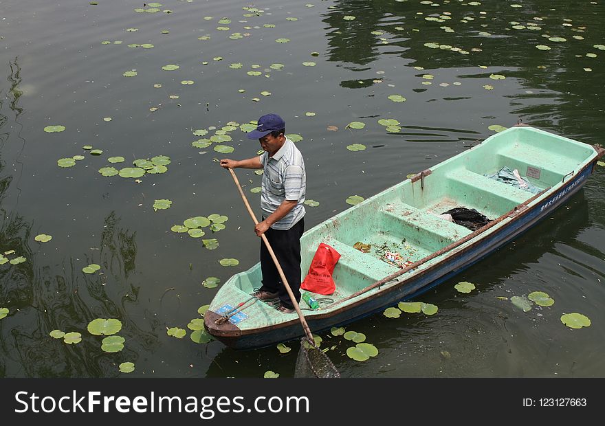 Water, Waterway, Water Transportation, Watercraft Rowing