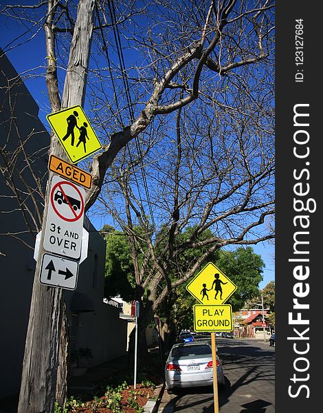 Tree, Woody Plant, Yellow, Infrastructure