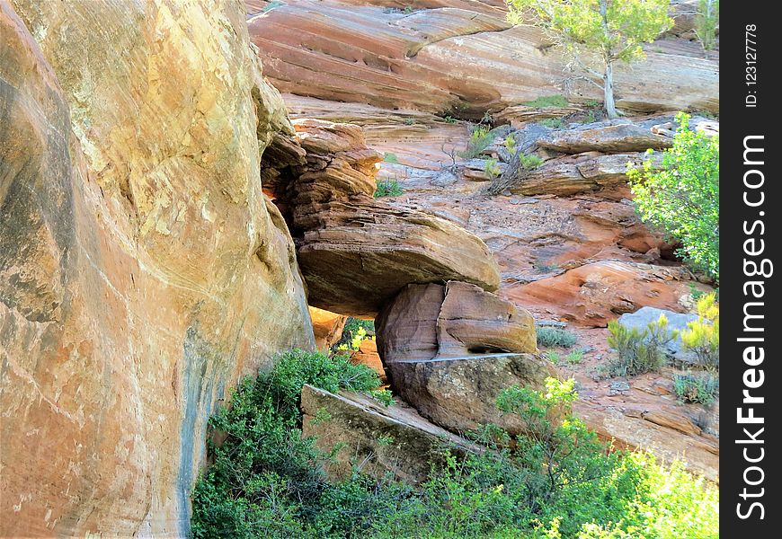 Rock, Bedrock, Tree, Outcrop