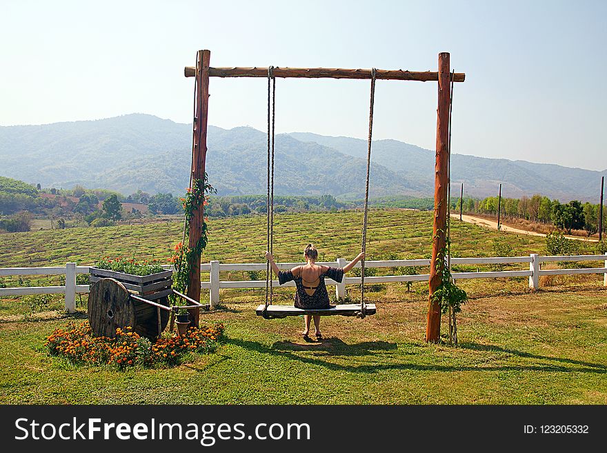 Rural Area, Field, Sky, Tree