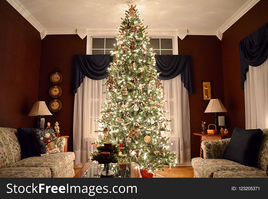 Christmas Tree, Christmas Decoration, Living Room, Home