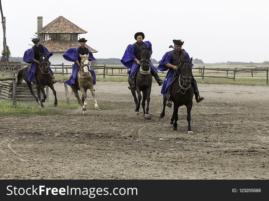 Horse, Western Riding, Animal Sports, Endurance Riding