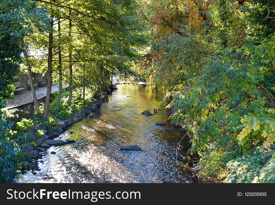 Water, Waterway, Nature, Riparian Zone