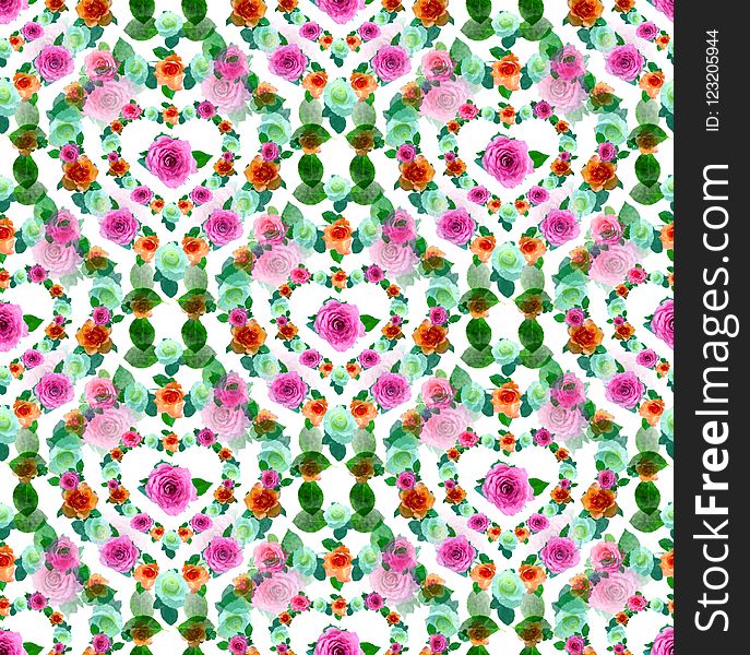 Flower, Pink, Flora, Pattern