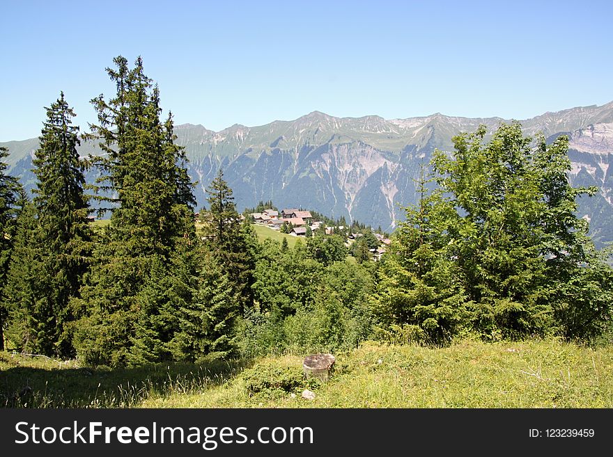 Ecosystem, Wilderness, Mountainous Landforms, Nature Reserve