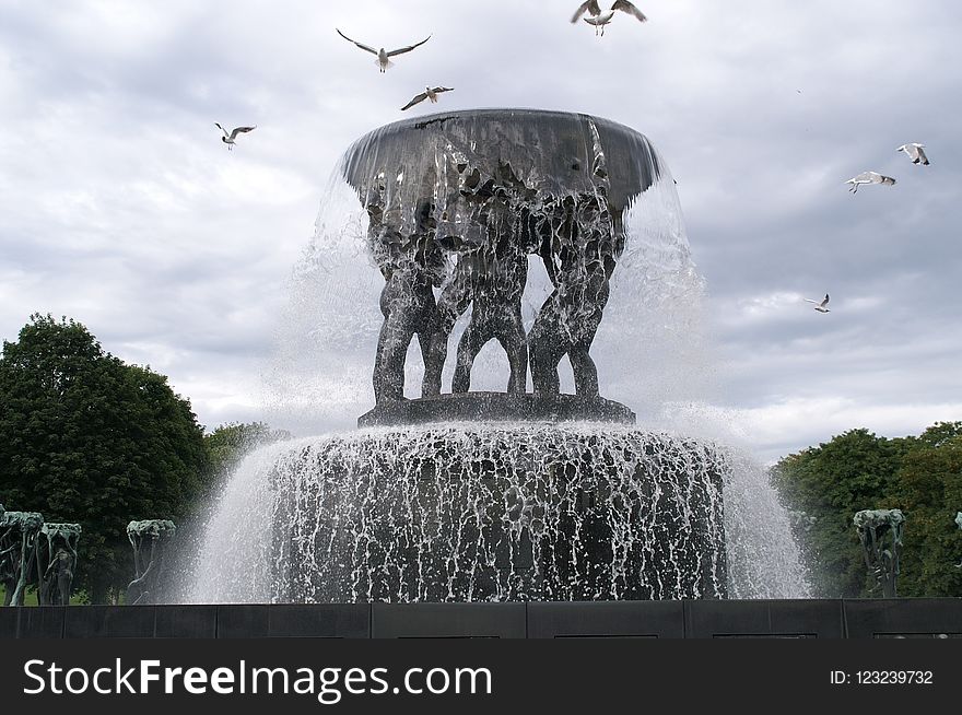 Water, Fountain, Water Feature, Sky