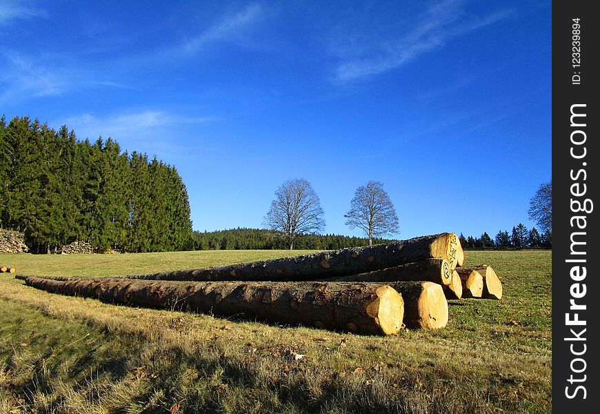 Sky, Grassland, Field, Pasture