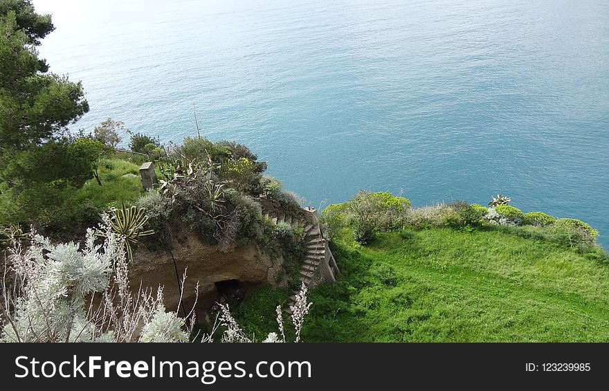 Vegetation, Coast, Nature Reserve, Cliff