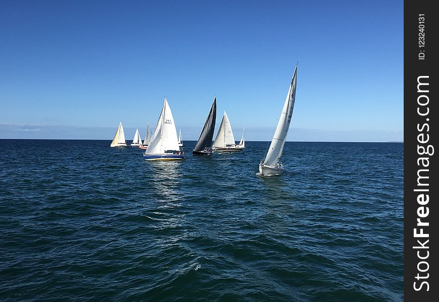 Sailboat, Sail, Water Transportation, Dhow