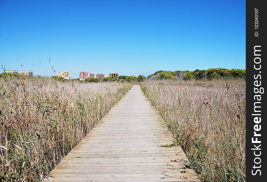 Sky, Path, Wetland, Prairie