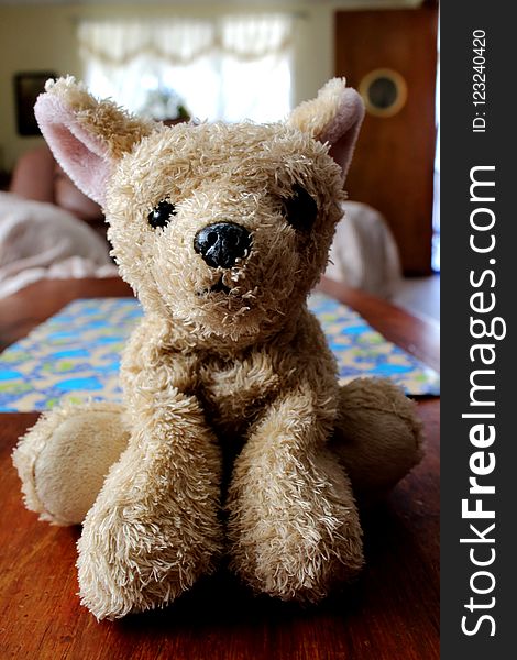 Stuffed Toy, Teddy Bear, Toy, Fur