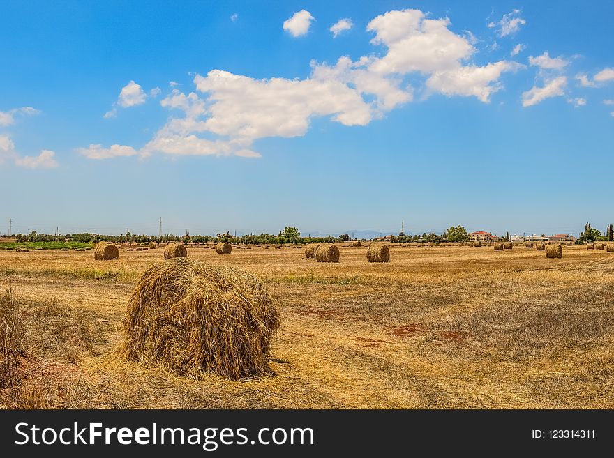 Hay, Field, Grassland, Sky