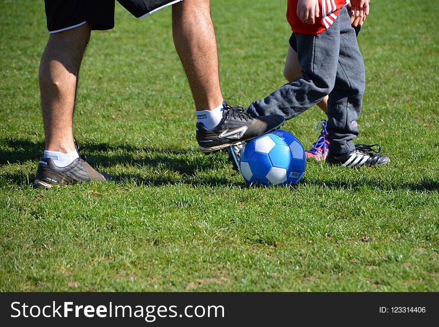 Footwear, Player, Football, Grass