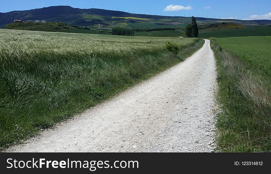 Road, Path, Grassland, Field