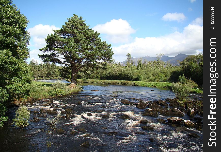 Nature, Nature Reserve, Water, Wilderness