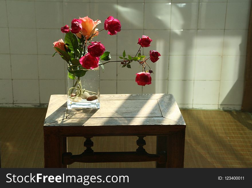 Flower, Plant, Table, Floristry