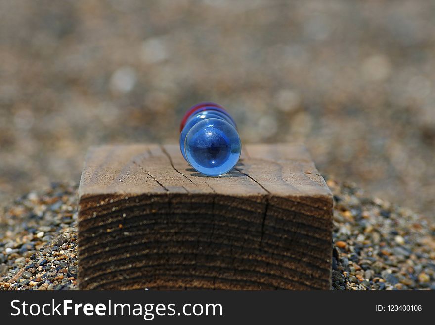 Close Up, Macro Photography, Stock Photography, Snail