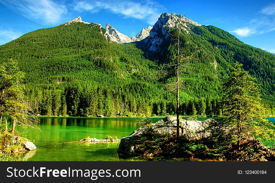 Nature, Wilderness, Mount Scenery, Nature Reserve