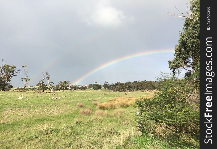 Rainbow, Sky, Meteorological Phenomenon, Grassland