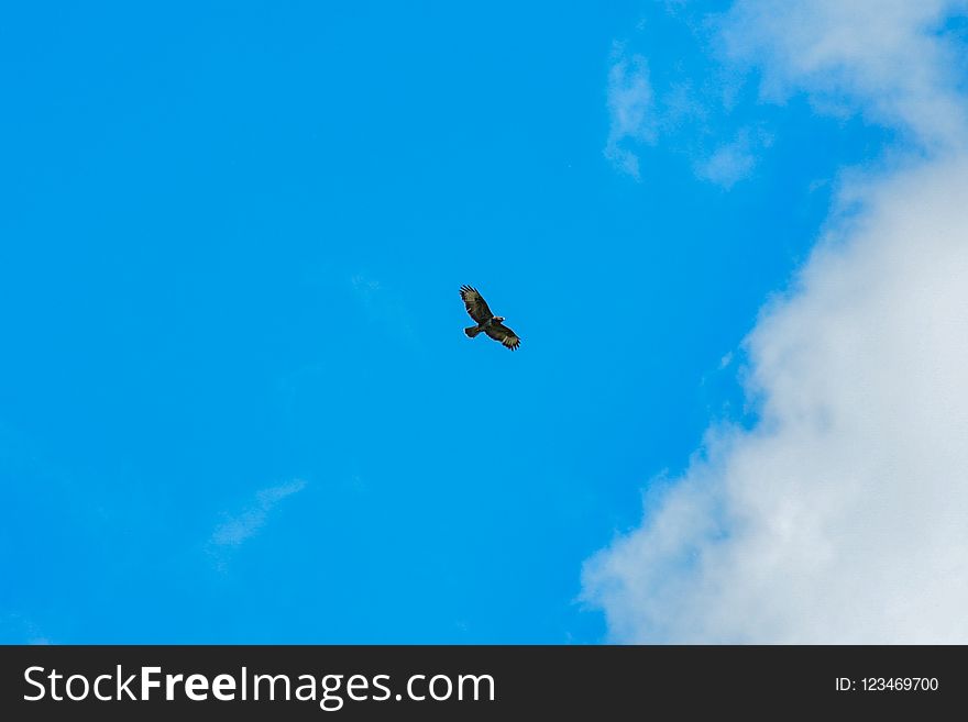 Sky, Daytime, Cloud, Air Travel