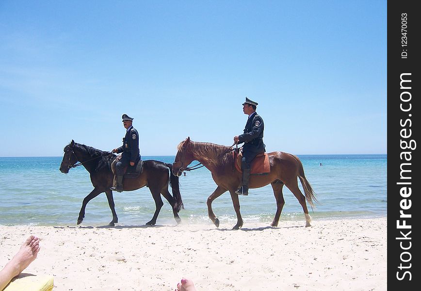 Horse, Horse Like Mammal, Equestrianism, Beach