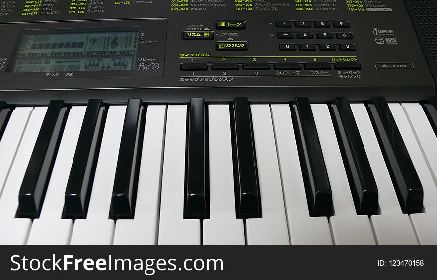 Musical Instrument, Electronic Instrument, Keyboard, Digital Piano
