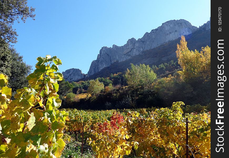 Nature, Vegetation, Mountainous Landforms, Wilderness