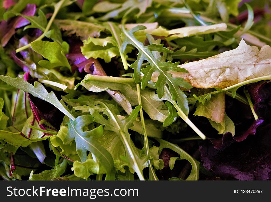 Leaf, Leaf Vegetable, Vegetable, Spring Greens