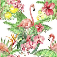 Tropical Watercolor Pattern Stock Images