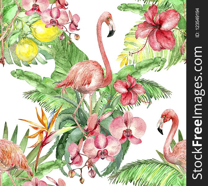 Watercolor seamless pattern with flamingo and palm leaves, plumeria and hibiscus, orchid flower and strelizia isolated on white. Watercolor seamless pattern with flamingo and palm leaves, plumeria and hibiscus, orchid flower and strelizia isolated on white.