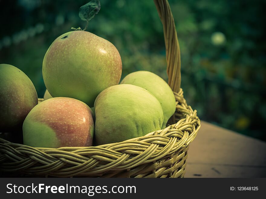 Fresh tasty apples in a wooden basket in the garden. Fresh tasty apples in a wooden basket in the garden.
