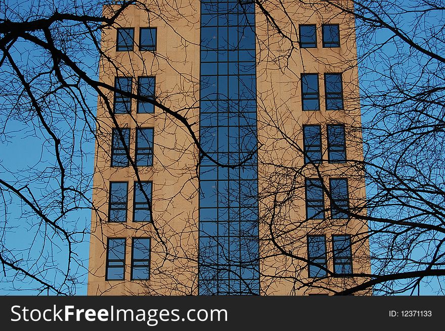 An office building with trees and a blue sky