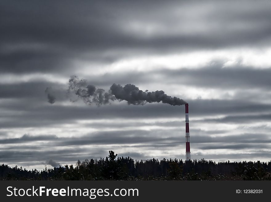 The smoke and industrial emissions from a factory pipe create a smog over wood. The smoke and industrial emissions from a factory pipe create a smog over wood