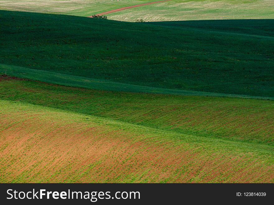 The lines of green hills create beautiful patterns like waves. Partially illuminated by the sun. Beautiful background