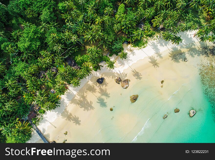 Amazing White Sand Beach Sea Shore With Coconut Palm Tree Shadow