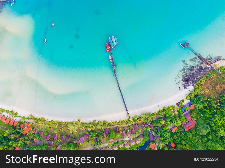 Seashore blue ocean with green tree forest