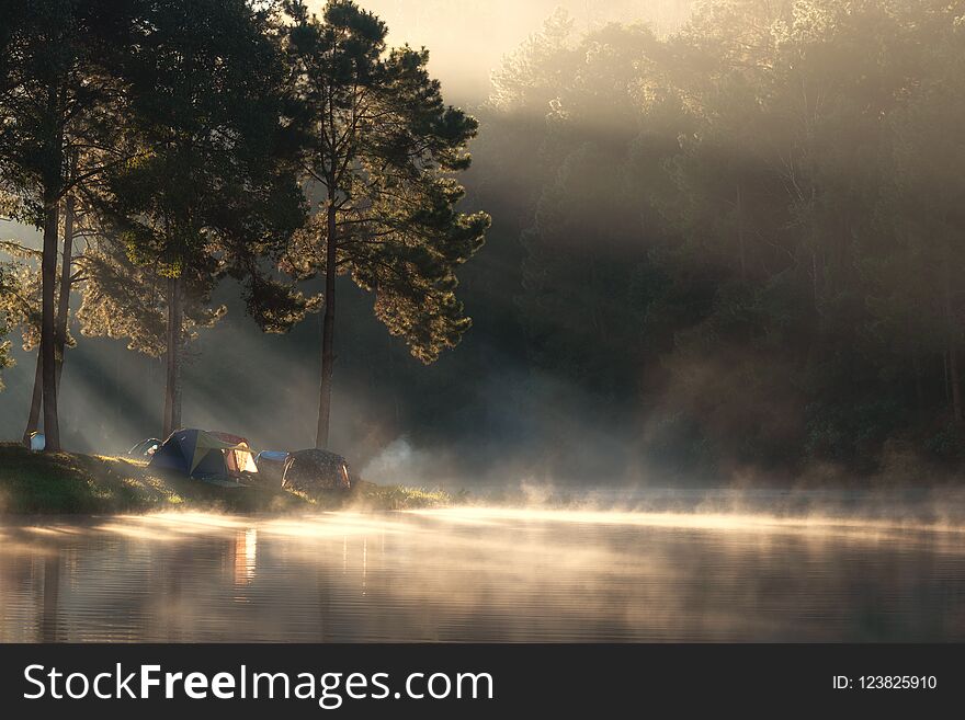 Adventures Camping tourism and tent under the view pine forest landscape near water outdoor in morning and sunset sky at Pang-ung, pine forest park , Mae Hong Son, Thailand. Concept Travel.