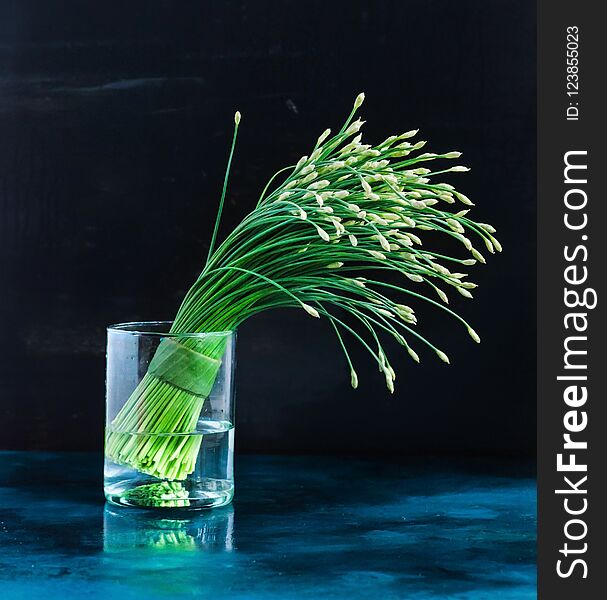 Chineese chives onion in a vase on a dark background