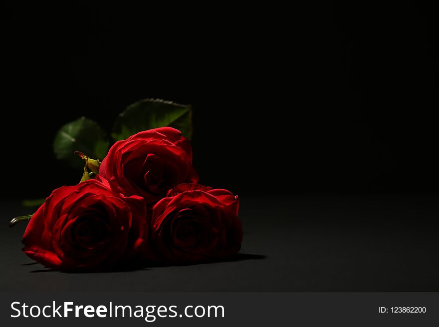 Beautiful roses on dark background with space for text. Funeral flowers