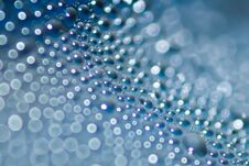 Close Up Water Drop Condensation With Blue Blur Bokeh Royalty Free Stock Photography Close Up Water Drop Condensation With Blue Blur Bokeh Royalty Free Stock Photography