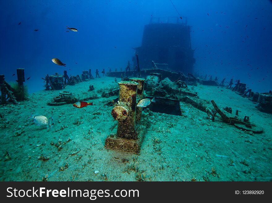 Fish swim on the deck of the sunken patrol boat. Fish swim on the deck of the sunken patrol boat.