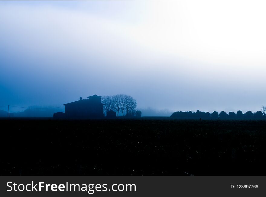 Countryside cultivated with fog rising in the morning sunlight