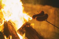 Roasting Sausages On The Campfire Royalty Free Stock Photo