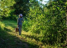 Young Girl Walking On A Path Through Green Woods Carrying A Basket Stock Photography Young Girl Walking On A Path Through Green Woods Carrying A Basket Stock Photography