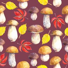 Seamless Pattern With Mushrooms And Leaves On Maroon Background. Stock Images