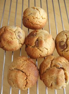 Homemade Cookies Royalty Free Stock Photo Homemade Cookies Royalty Free Stock Photo